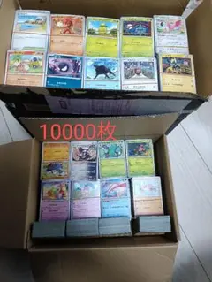 2025年最新】ポケモンカード ノーマル まとめ売り10000枚の人気