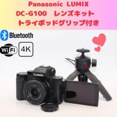 2025年最新】dc-g100vの人気アイテム - メルカリ