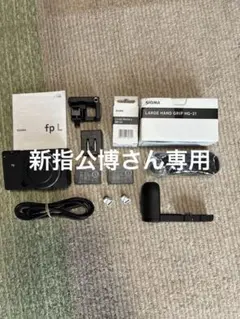 美品・おまけ多数】SIGMA fp ボディ（純正グリップ・予備バッテリー付