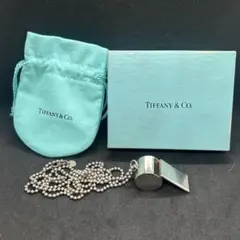 美品♡廃盤・希少／安心鑑定Tiffany&Co.1837ホースシューネックレス 