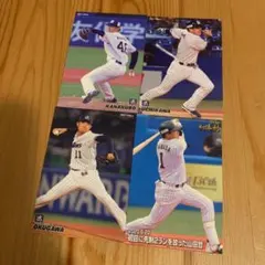 プロ野球チップスカード