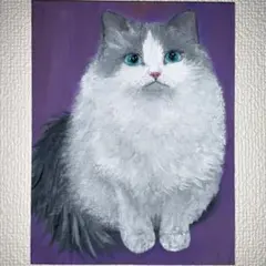 ラグドール　猫　アクリル画　原画