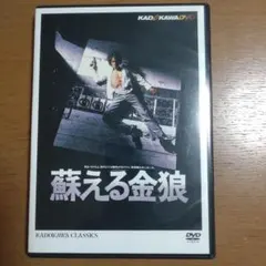 92カラテ・ワールドカップ 正道カラテ 正道会館 VHS ビデオ - メルカリ