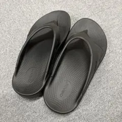 Item thumbnail for item a4bfc2de-c148-4132-b528-4abe7674b483