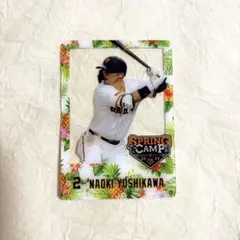 ジャイアンツ　吉川尚輝　シークレット　クリアトレーディングカード