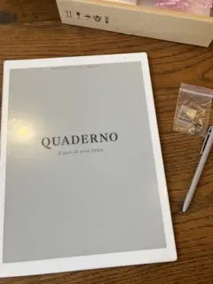 Quaderno gen3 A4 ジャンク 2026年最新】QUADERNO gen3の人気アイテム - メルカリ