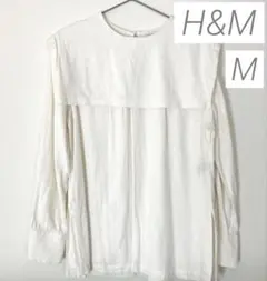 Item thumbnail for item 2685477a-26c3-4520-b06a-4714d5231bab