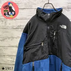 【1907】US古着 海外規格90s ノースフェイス デナリジャケット 刺繍ロゴ