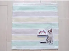 【新品未使用】岩合光昭 猫 無撚糸 ハンカチ ボーダー キャット グリーン