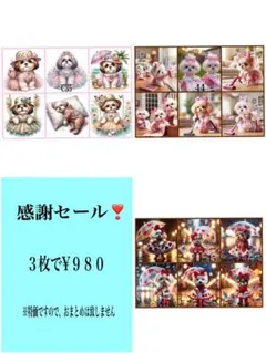 感謝セール！２７