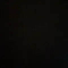 バタフライ　バッヂ
