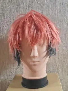 にじさんじ　赤城ウェン　コスプレ　ウィッグ　カットセット済み にじさんじ/赤城ウェン】コスプレウィッグ セット済み - メルカリ