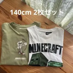 ZARA マインクラフトTシャツ　140cm 2枚セットのサムネイル