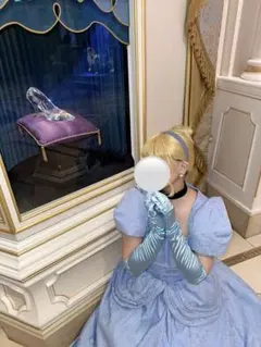 ディズニー　シンデレラ　セット済ウィッグ（仮装） ディズニー シンデレラ セット済ウィッグ（仮装）