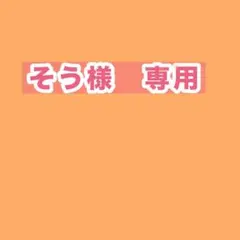 そう様専用