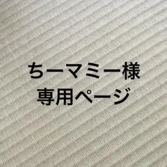 専用ページ
