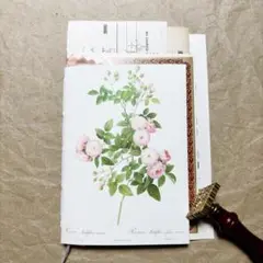 ジャンクジャーナル雑記帳/土台/ルドゥーテの薔薇ポストカード表紙/ヴィンテージ⑤