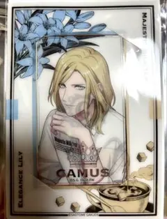うたプリ グラショ　ビジュアルカード カミュ