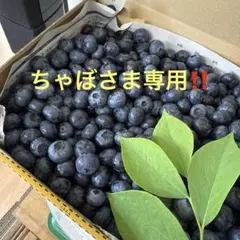 ちゃぼさま専用です‼️のサムネイル