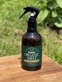 Item thumbnail for item 566c719d-0e8c-47cd-93ef-c56ce304fafc