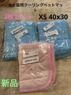 Item thumbnail for item 3b469f66-8a62-4704-9876-54162684b73a