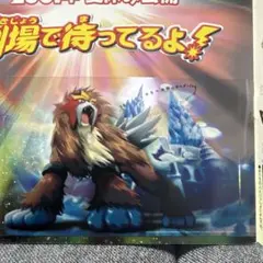 ポケモン ポストカード 映画 結晶塔の帝王 エンテイ ピカチュウ 2