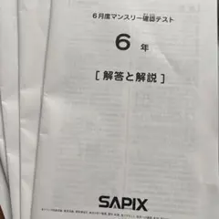2026年最新】サピックステストの人気アイテム - メルカリ