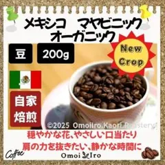自家焙煎コーヒー豆 メキシコ マヤ ビニック オーガニック豆200gのサムネイル
