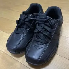 Item thumbnail for item 608fb4ff-7e4d-457c-a805-a0b80820f394