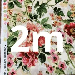 生地 フラワー コスモス？ 白地