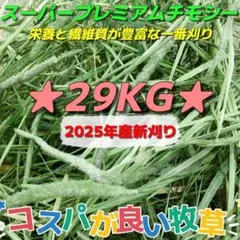 Item thumbnail for item 56b87764-cb6a-474b-8fad-f238ceaa73a3