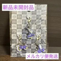 ポケモン 全国図鑑メタルチャーム ミライドン