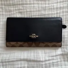 Item thumbnail for item 4dc063fa-0c0b-40c8-bc1d-6ae72733d5bc