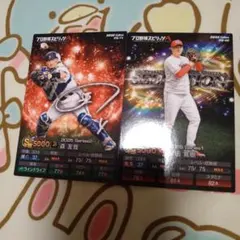 プロ野球 トレーディングカード 2025シリーズセット