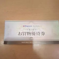 ヤマダ電機　株主優待5000円分