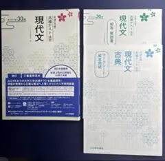 共通テスト現代文・古典 解説書付き