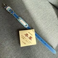 Item thumbnail for item 84792d03-fa47-4e04-8f78-df5ee390d5e2