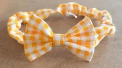 Item thumbnail for item fd61ad62-856e-471e-8f6f-2bbc8dac1cf8