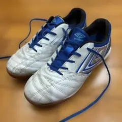 Item thumbnail for item 7c8aa6f2-a3b6-4319-8c7f-a3ed338f3dc1