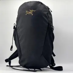 2026年最新】マンティス16の人気アイテム - メルカリ