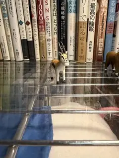 シャクレル ガゼル フィギュア