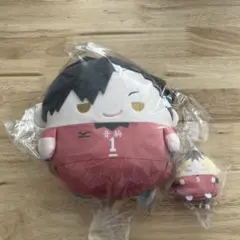 ハイキュー！！　くじメイト　ぬいくじ　C賞　E賞 ふわコロりん 黒尾 孤爪