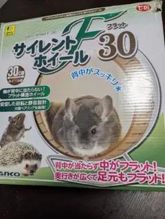 Item thumbnail for item 667449a2-86d8-4957-93ec-95506c3d8781