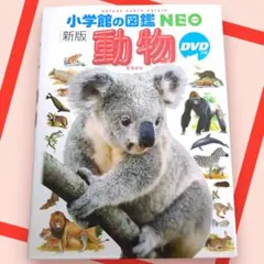 あいり様 リクエスト 5点 まとめ商品