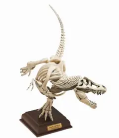 ネイチャーテクニカラー カプセルトイ