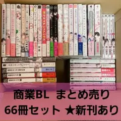 2026年最新】bl本 まとめ売りの人気アイテム - メルカリ