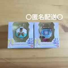 MINI CHARM COLLECTION3 PRECURE ALL STARS