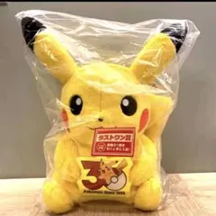 一番くじ ポケモン 30周年 ぬいぐるみ ラストワン賞 ピカチュウ オスの