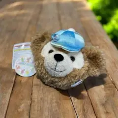 ディズニーリゾート パケパ ダッフィーショルダーバッグ