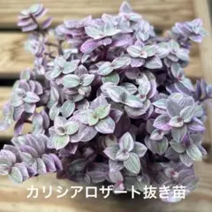 めろりん様 リクエスト 2点 まとめ商品